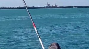 9  Супер интересная рыбалка в Туапсе Super interesting fishing in Tuapse 02 03 2023