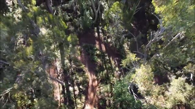 GARMIN FORERUNNER 45 GPS WATCH x SALOMON ULTRA/PRO TRAIL RUNNERS смотреть онлайн