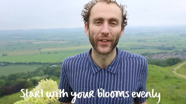 What an Ace! How to arrange: Blooms, Agapanthus, Eupatorium, Alstroemeria and Irses! смотреть онлайн