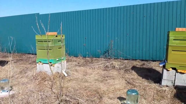 Бочка-меда.рф , заказать и купить мед с доставкой: +79859406906 смотреть онлайн