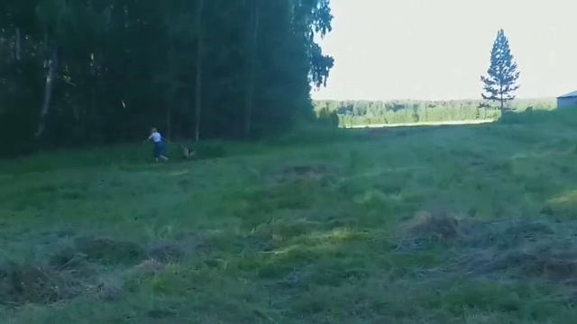 КОННЫЕ ГРАБЛИ НА САМОДЕЛЬНОМ ТРАКТОРЕ. смотреть онлайн