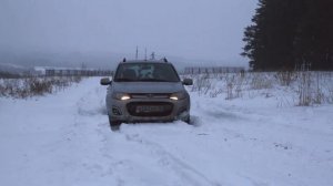 Калина с самоблоком против небольшой снежной горочки