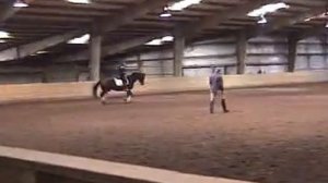 Dressage Lesson - Feb 11, 2007