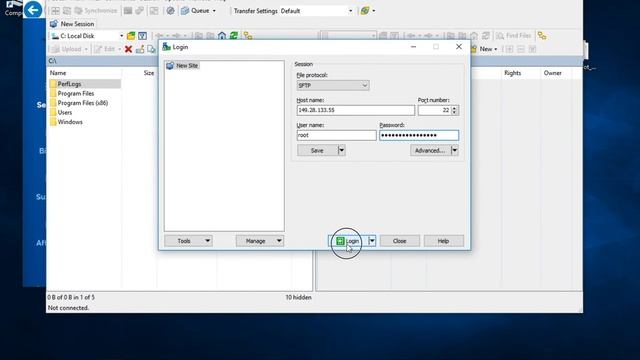 [Windows] ProfitBot – Загрузка файлов бота на сервер/Uploading files on the server