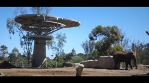 Zoo Tours: The Elephant Odyssey at the San Diego Zoo (2009)