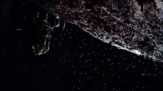 Maclaine Diemer (Guild Wars 2 - Heart of Thorns) — “Rata Novus” [Extended] (1 Hr.) смотреть онлайн