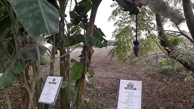 зоопарк de las leyendas, часть 1 смотреть онлайн