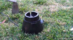 Hamilton Beach Blender Destruction