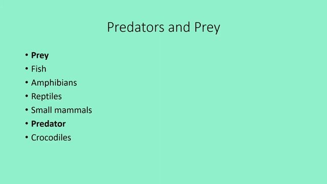 Prehistoric Facts Special 194: Pakicetus