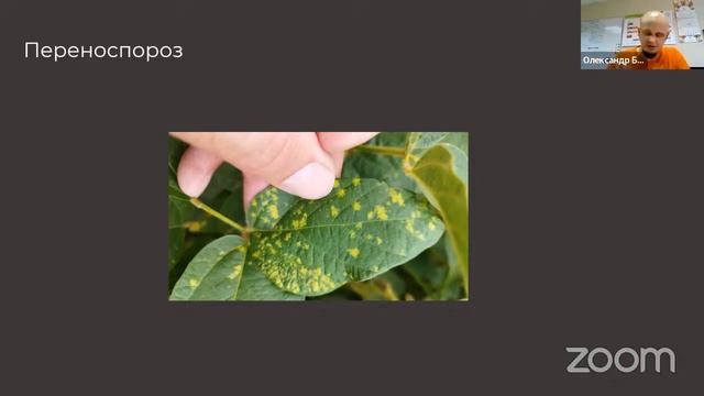 Соя 2023: +20% до врожаю смотреть онлайн