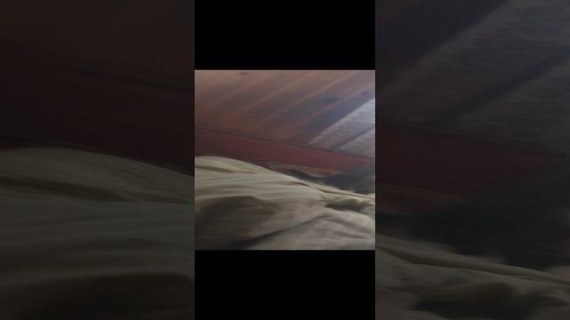 маленький котик