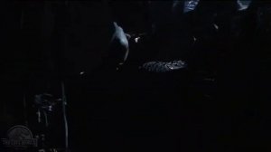 Смерть Эдди Карра