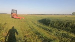 Сенокос роторной косилкой на Т-25