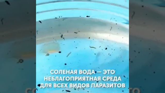 Хозяюшкам в копилку?