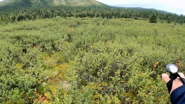 Приполярный Урал 2021. День 8-ой. В поисках брода. смотреть онлайн