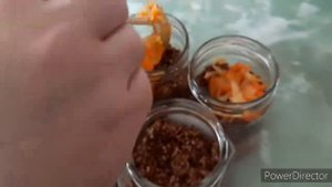Консервированная гречневая каша со свининой и овощами ПО-КУПЕЧЕСКИ