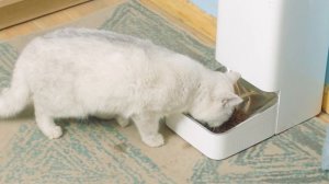 Автоматическая кормушка для животных Xiaomi Smart Pet Food Feeder