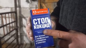 ?Необходимые прививки для маленьких поросят‼️Сарай доводим до ума?