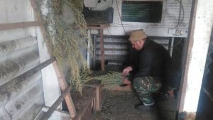 Народный метод борьбы с пероедом!!!