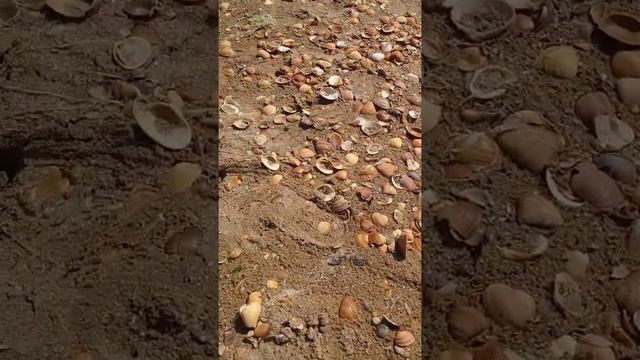 4 остановка поезда "Жемчужина Кавказа" республика Дагестан, г.Дербент смотреть онлайн