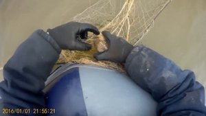 Рыбалка сетями ранней весной на реке Амур, Рыбалка на сети с fisherman dv. 27 rus