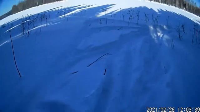 Прогулка по деревне сходил на тот берег реки смотреть онлайн