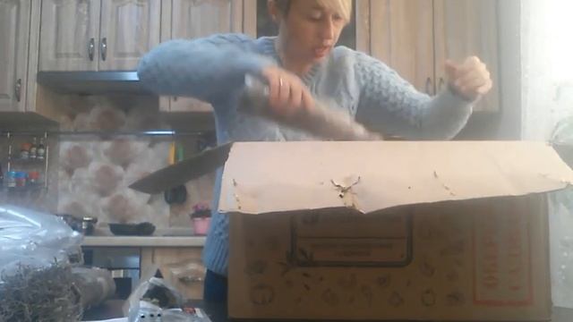 Отзыв Агромаркет (відгук) Клубника "Альбион" Ежевика гигант, позднеспелый сорт "Киова смотреть онлайн