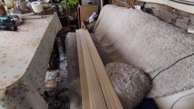 Павловния. Обзор древесины, годовалых саженцев, рассады смотреть онлайн