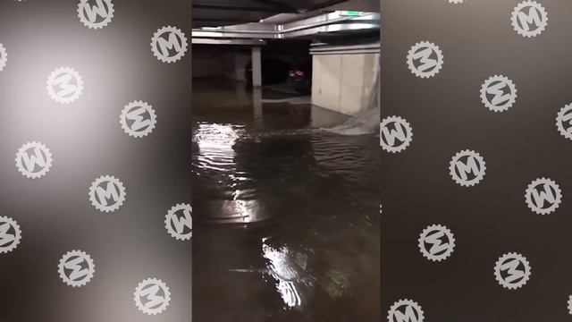 30 Невероятных Моментов, Снятых на Камеру