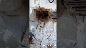 всем привет,сегодня установка буржуйки в гараже первая часть,вывод дымохода.