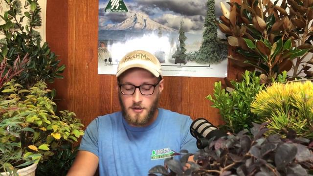 Demystifying Plant Purchasing: How to Read Plant Tags смотреть онлайн