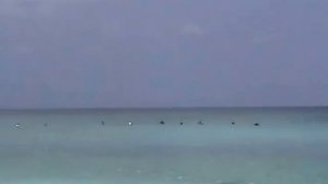 Серфинг на Бали | Спот DreamLand