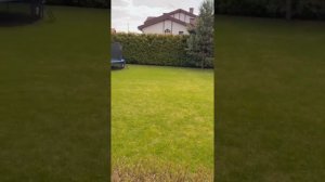 Ксюша Бородина показала свои домашние цветы в горшках