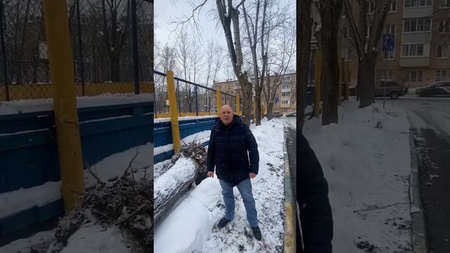 Как грязный снег губит деревья смотреть онлайн