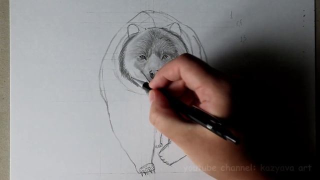 Рисую шерсть медведю. Часть2. Как нарисовать медведя в анфас