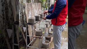 Ещё один способ посадки клубники.