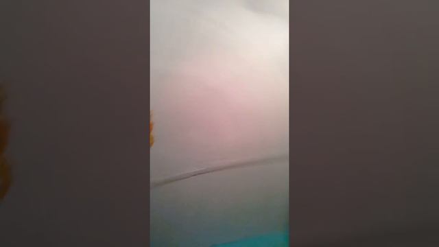 Лизун на потолке смотреть онлайн