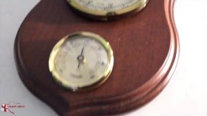 Барометр с термометром Бриг БМ92172-М (19 х 14 см)