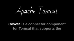 Apache Tomcat in One Minute: Fueling Dynamic Web Applications!