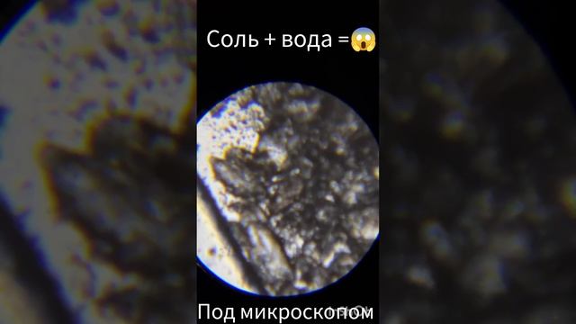 соль + вода под микроскопом ???