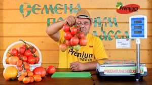 ТОМАТ ДУША СИБИРИ F1 Самый вкусный, суперурожайный, без белой сердцевины!