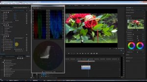 УРОКИ ADOBE PREMIERE PRO Как убрать насыщенность определенного цвета !!!