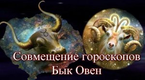 Совмещение гороскопов. Бык овен