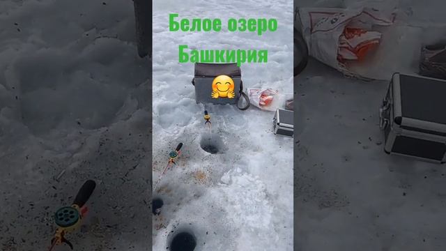 Белое озеро.Рыбалка