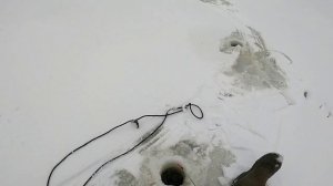 Первый лёд. Ловим окуней.