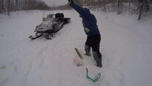 Раздача окуня на балансир и мормышки, щука на жерлицы сработка за сработкой.