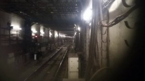 Ёжик? Поездка от Волгоградского проспекта  до Котельников и от Котельников до Выхино