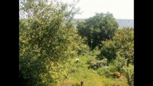 Продаю дачу в г. Саратове, рядом с Волгой