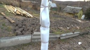 Как укрыть в зиму молодые саженцы.Мой оригинальный способ укрытия  сливы и яблони в зиму