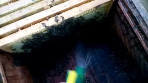 Осень. В семье пропала матка...